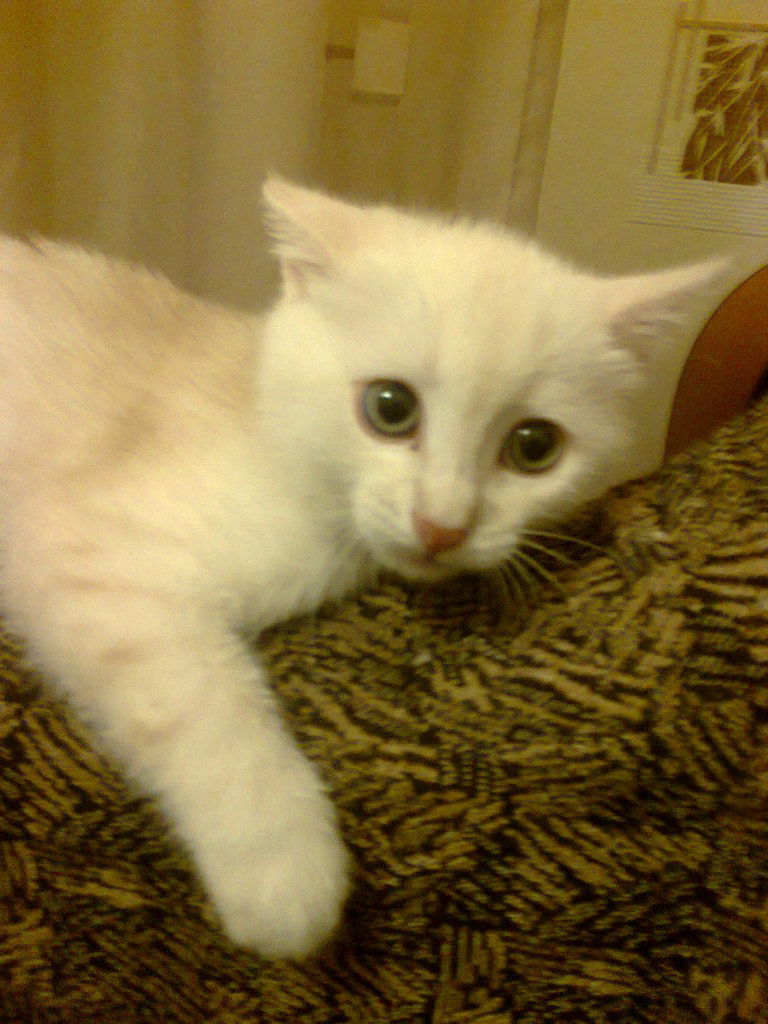 Таисия Чернова