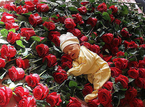 Юлия Маевская