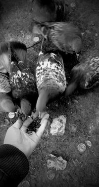 Яна Долганская