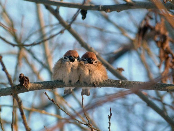 Алсу Валеева