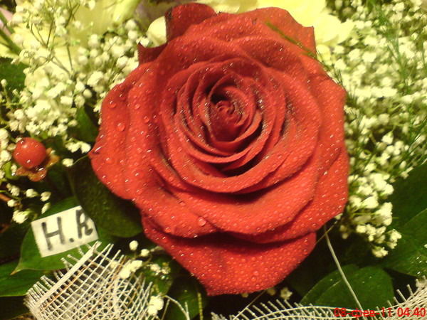 Мерейгул Калменова