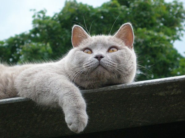 Андрей Иванов