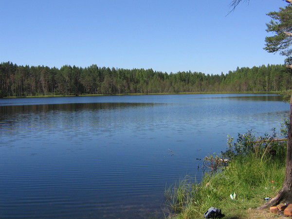 Виктор Таранец