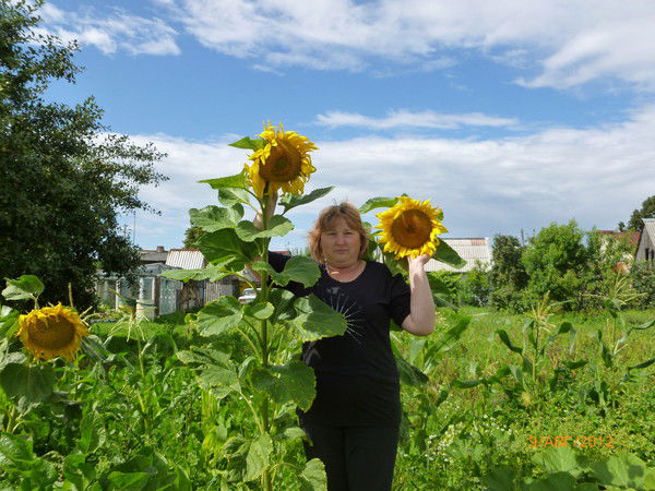 Татьяна Карпова