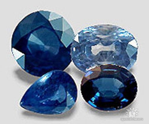 Юлия Шевченко