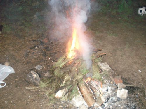 Коля Дубинчук