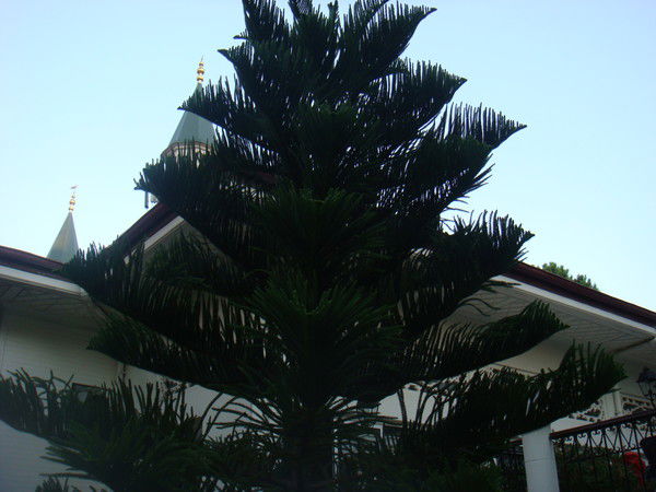 Любовь Лешкович