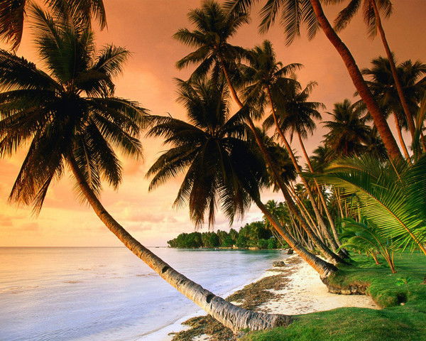 Наталья Рознер