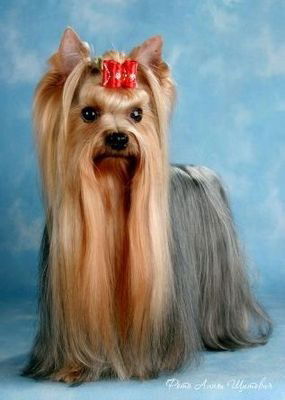 Нина Гудкова