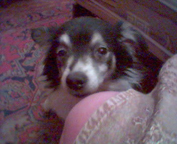 Маргарита Заплатина