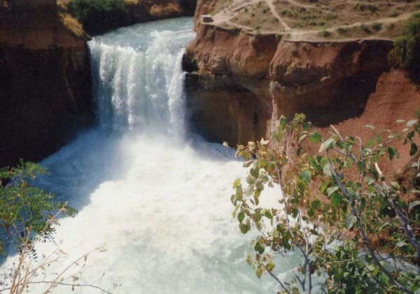 Тоо Красноводопадская Схос Руководитель Ортаев А.к. +7(7253)770018