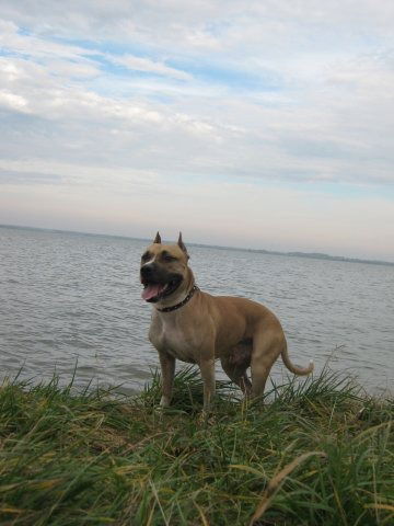 Олег Щербаков