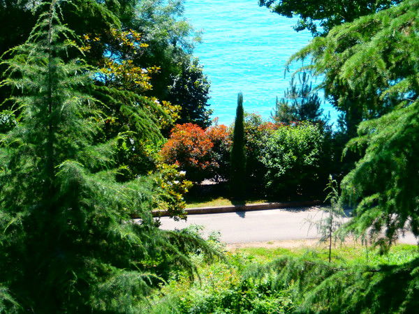 Людмила Сваричевская