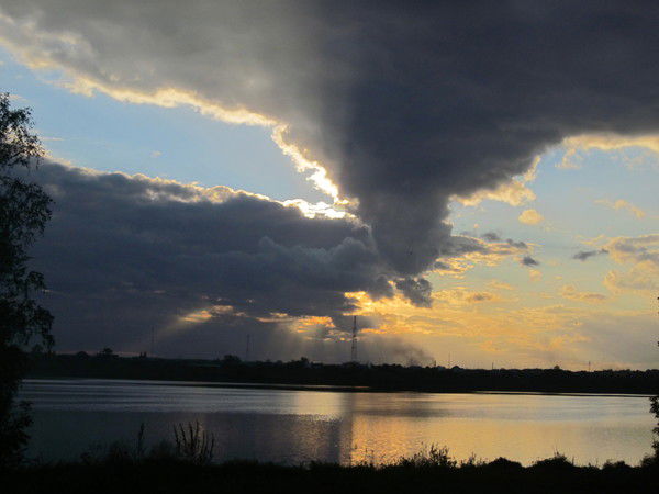 Светлана Чечиль