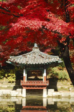 Ангелина Каспарьян