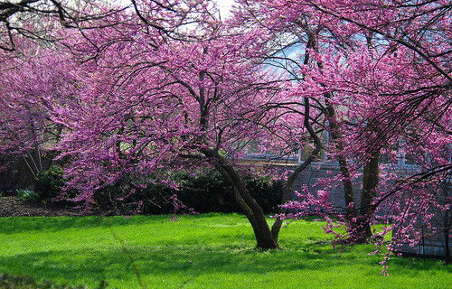 Елена Промыскова