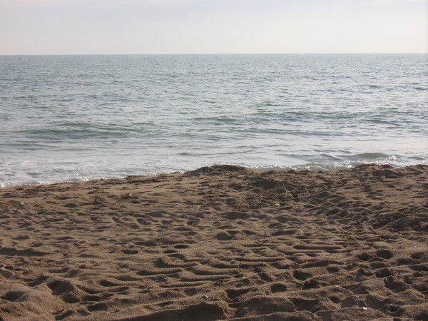 Руслан Халиков