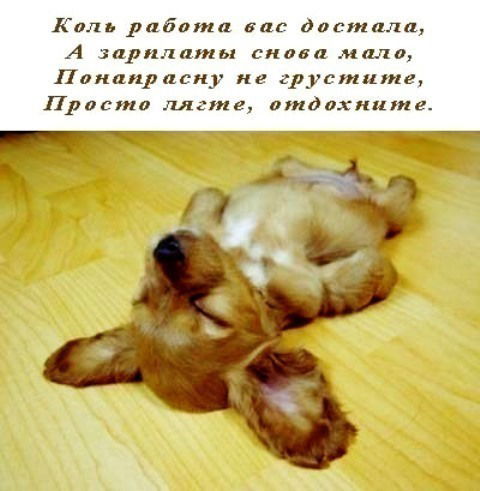 Екатерина Борзова