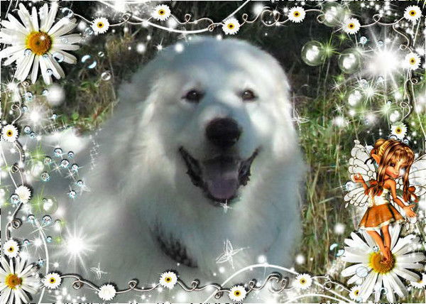 Тамара Волик