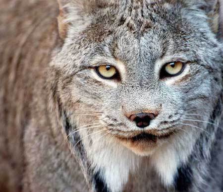 Анна Помогаева