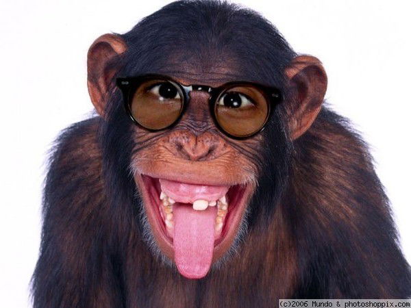 Боня Мадгеладзе