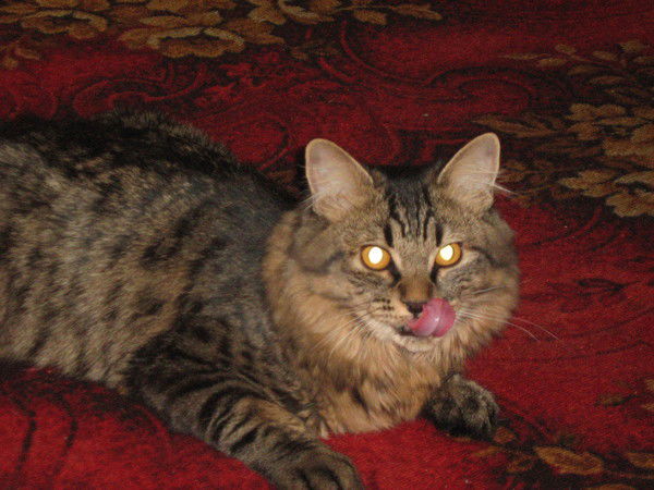 Наташа Якунина