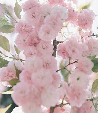 Наталья Полина