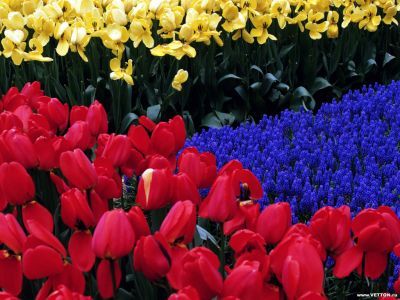 Замзагул А.ж