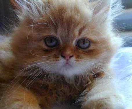 Любовь Александрова