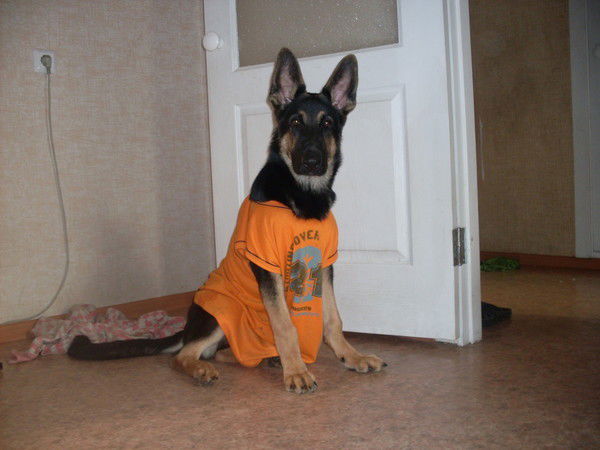 Наталья Трофимова