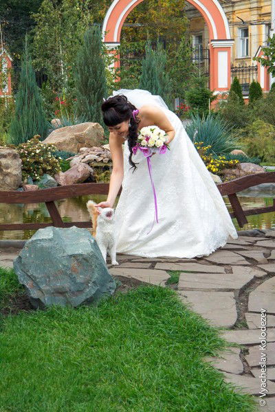 Елена Красникова