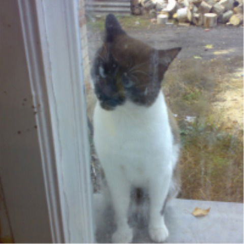 Григорий Таран