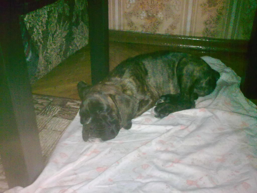 Александр Белозёров