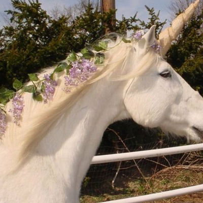 Анастасия Маньковская