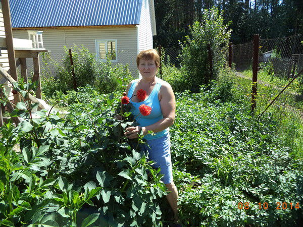 Наталья Килина