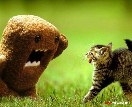 Макушев Даниил