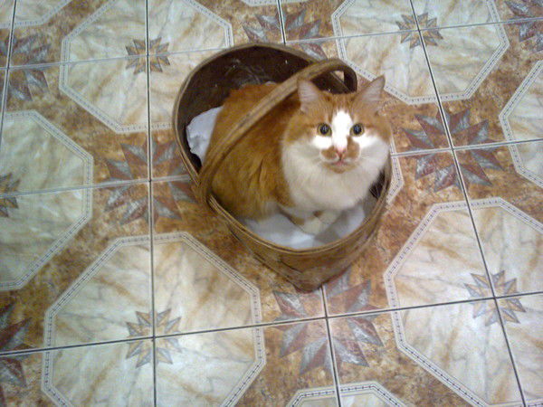 Виктор Данилов