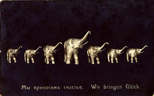 Николай Кривохижин