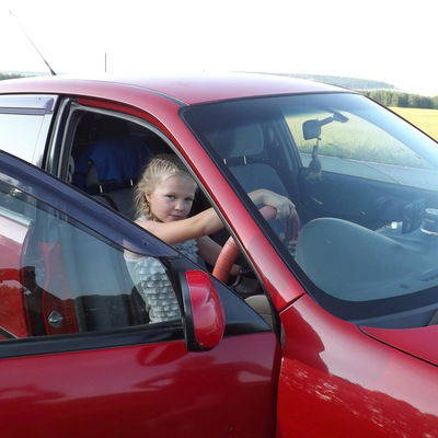 Элина Шмидт