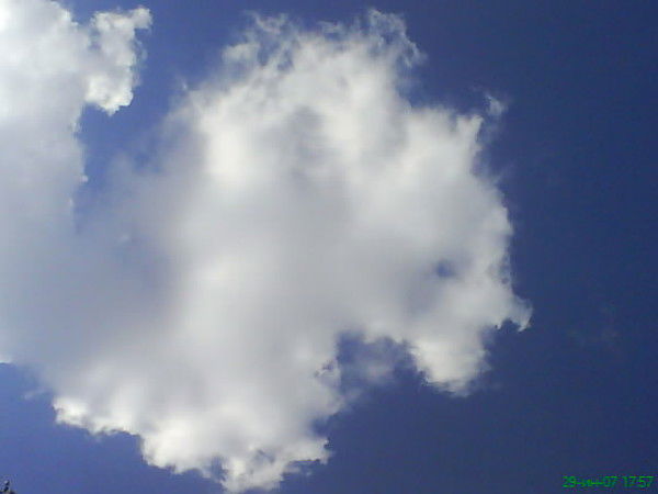 Ксенечка Утева