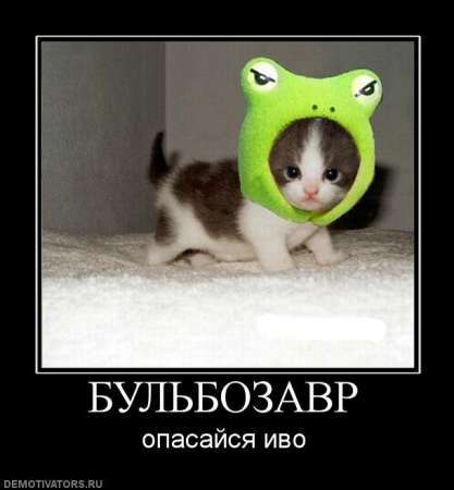 Максим Курий