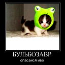 Максим Курий