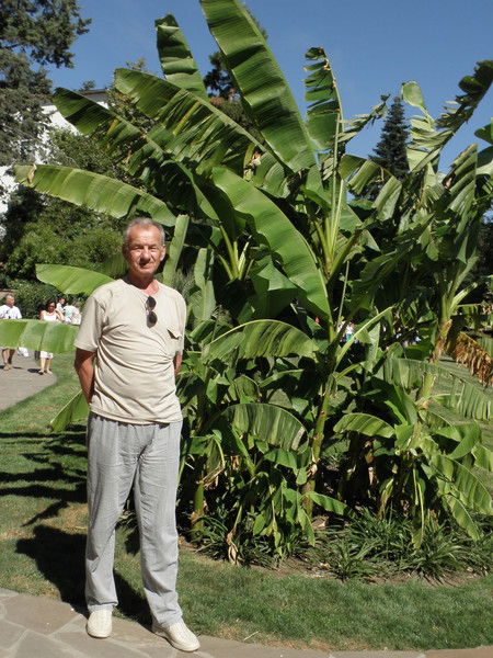 Анатолий Степанов