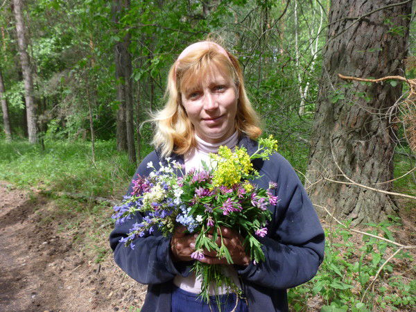 Елена Шамордина