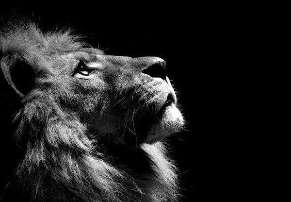 Дима Насенков