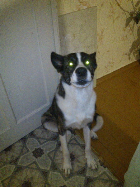 Васяня Белорус