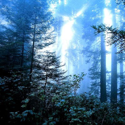 Олег Кузнецов