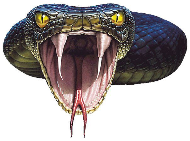 Евгений Червинко