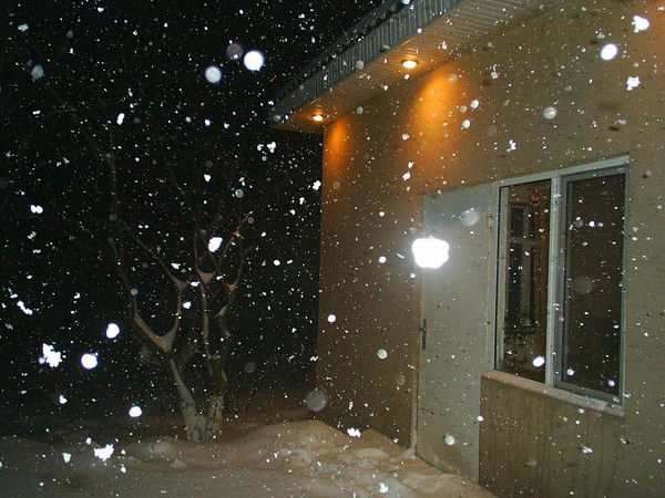 Татьяна Кузьмина