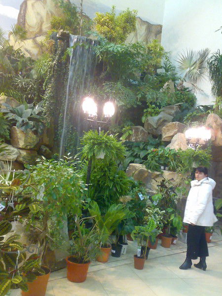 Наталья Тяпкина